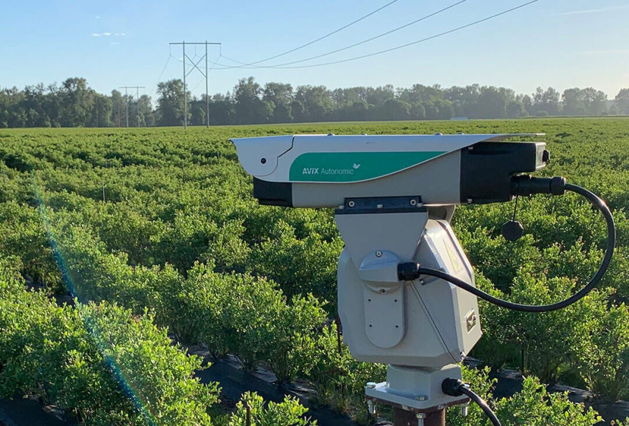 Afbeelding met innovatief product, laser, vogels verjagen.